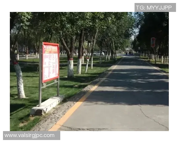 特雷霍青训复仇之路重燃激情再创辉煌